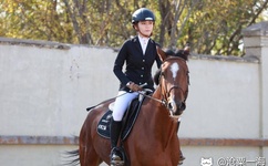 女士不遮阴小内搭网站